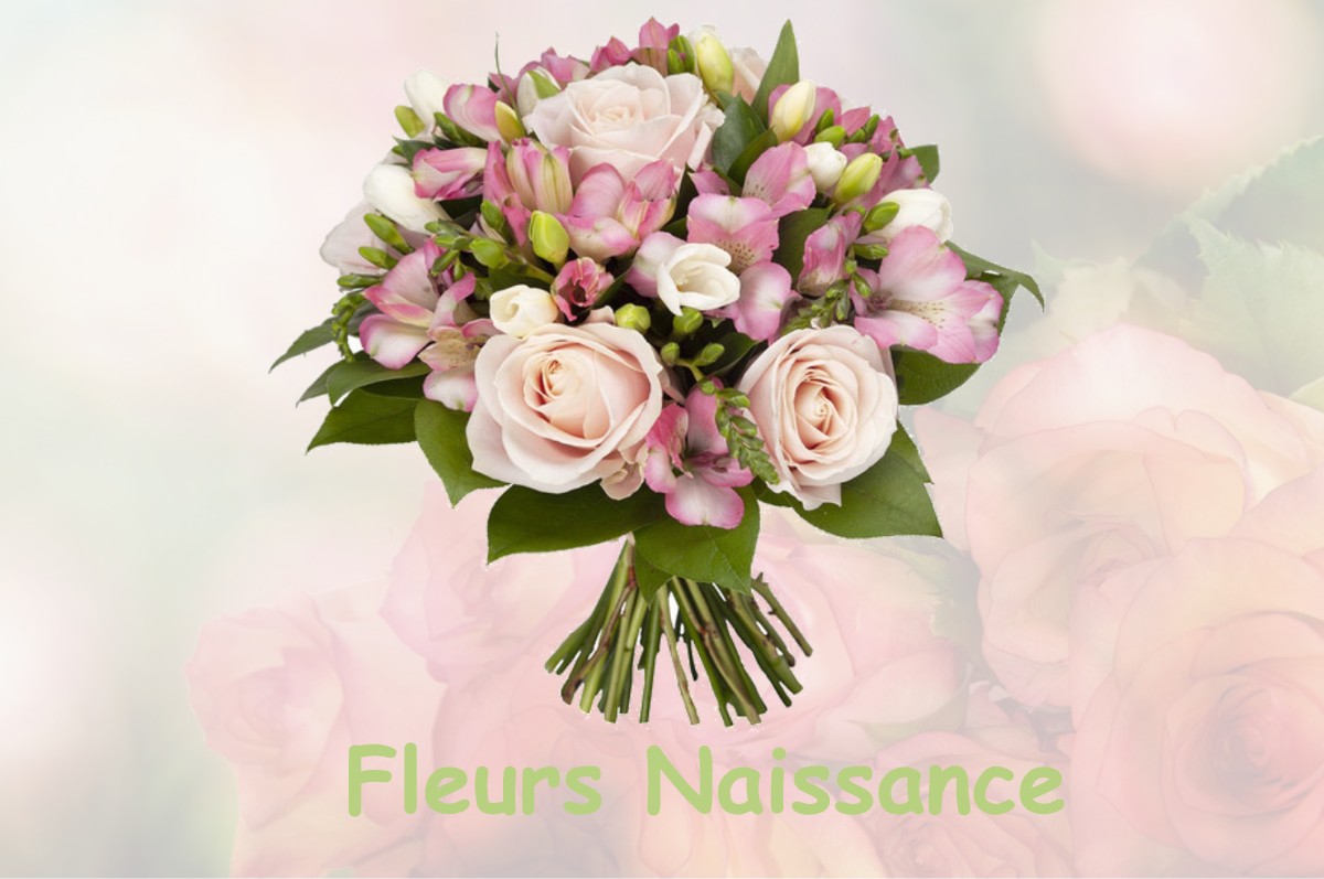 fleurs naissance NIBELLE