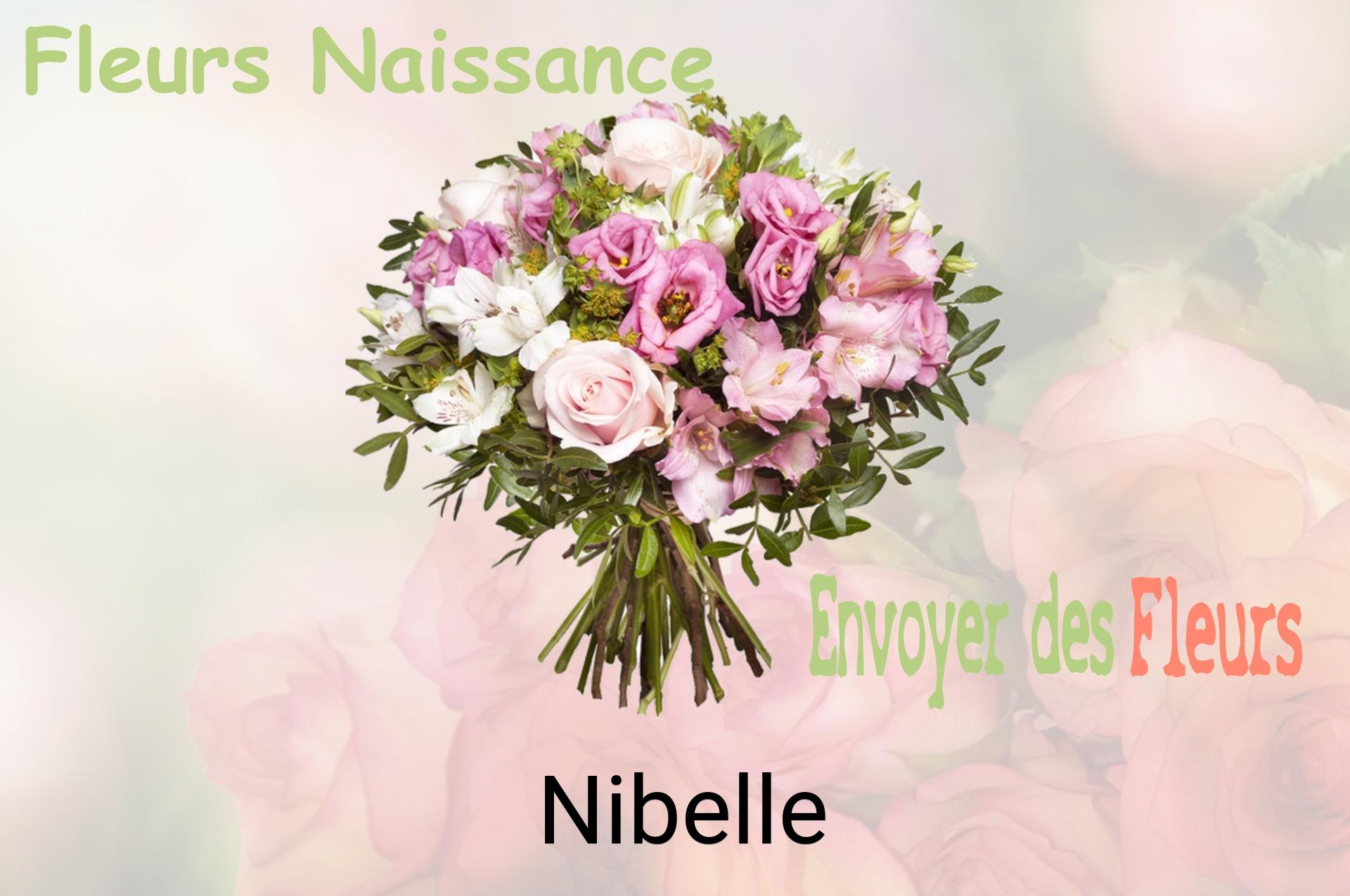 Bouquet de fleurs de naissance livré à Nibelle