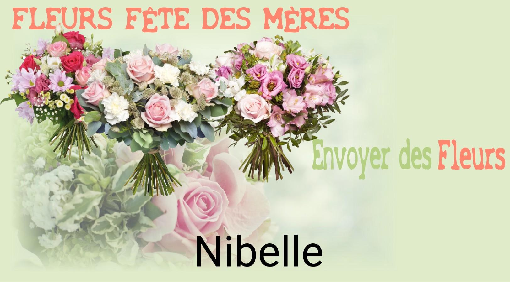 Bouquet de Fête des Mères livré à Nibelle
